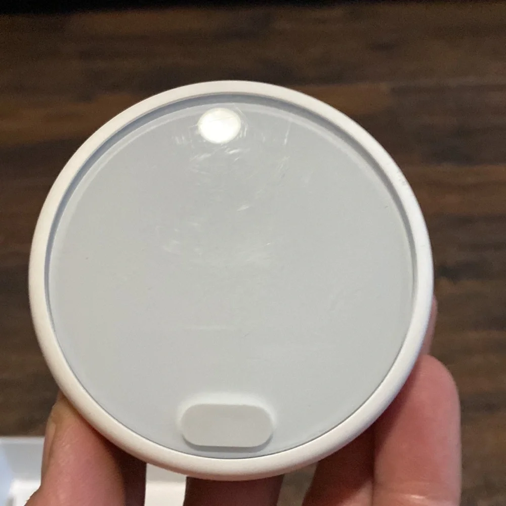 Google Nest Snow Thermostat